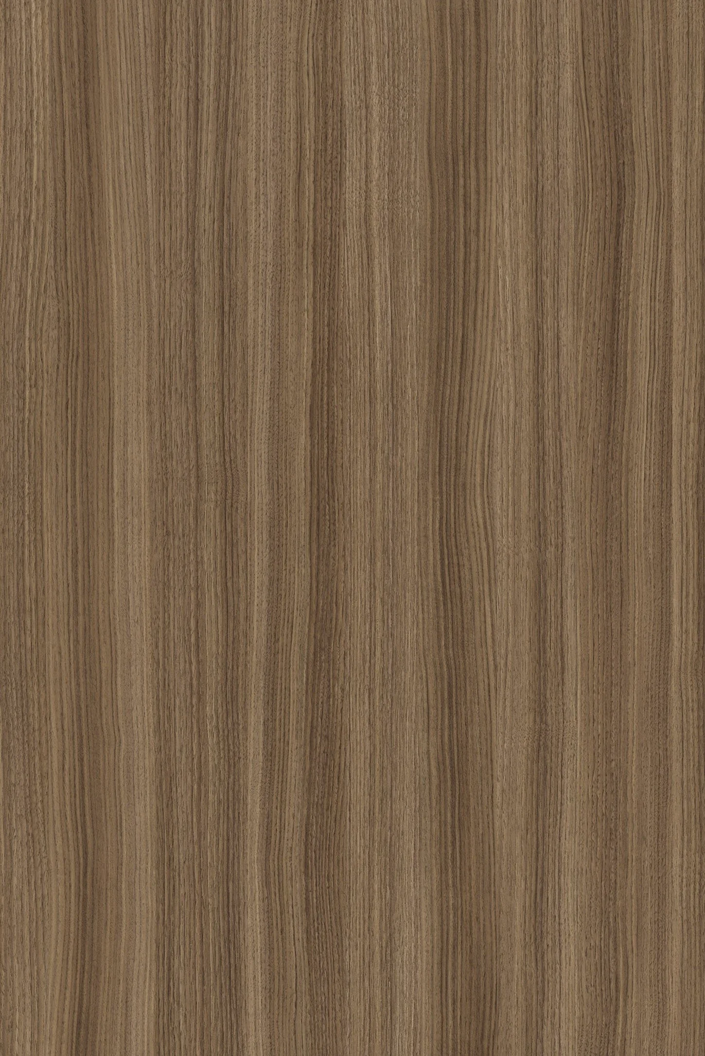 Melamine Faced Particle Board - K546 Caramel Franklin Walnut